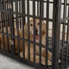 42" Heavy Duty Dog Crate for Large Medium Dogs, Furniture Style cage with 4 Lockable Wheels and 2 Locks